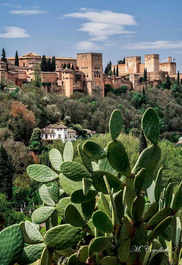Apartamento Realejo Centro Ciudad Granada Eksteriør billede